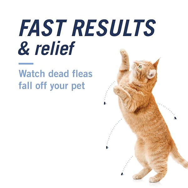 PETARMOR CAPACTION (NITENPYRAM) ORAL FLEA TREATMENT FOR CATS, CAT FLEA TREATMENT PILL, FAST ACTING TABLETS START KILLING IN 30 MINUTES, 2-25 LBS, 6 DOSES