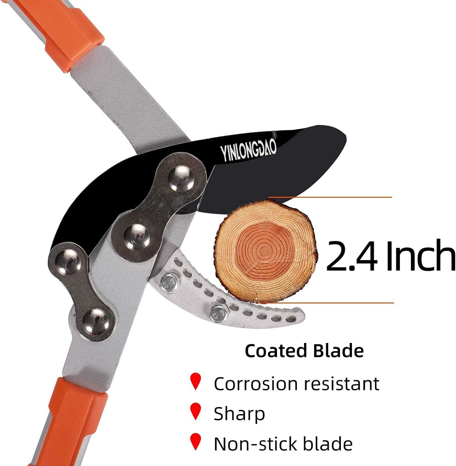 YINLONGDAO Extendable Anvil Loppers Tree Trimmer with Compound Action, Chops Thick Branches Ease, 29-41 Inch Telescopic Heavy Duty Branch Cutter, 2.4 Inch Clean Cut Capacity. : Garden & Outdoor