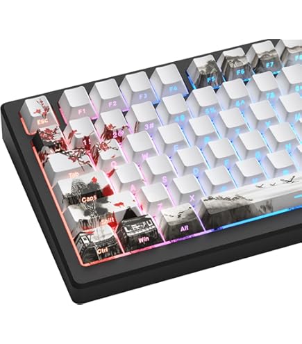 Amazon.com: Kono GMK Hanami Dango Keycap Set - Novelties, TKL, ABS