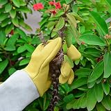 UneedMe Gardening Gloves for Women Men Thorn Proof Long Cuff, Comfortable view 4