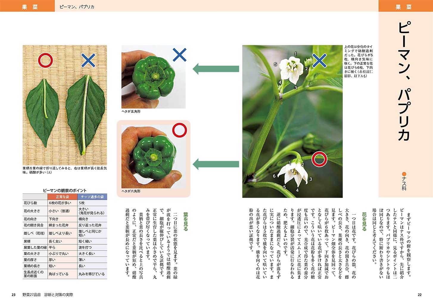 おいしい野菜の生育と診断 高橋広樹 本 通販 Amazon
