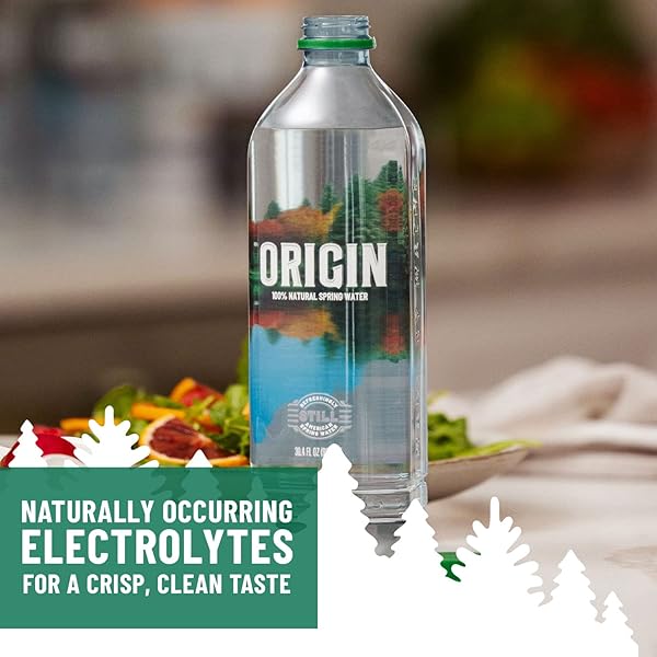 POLAND SPRING SPRING WATER, 30.4 FZ