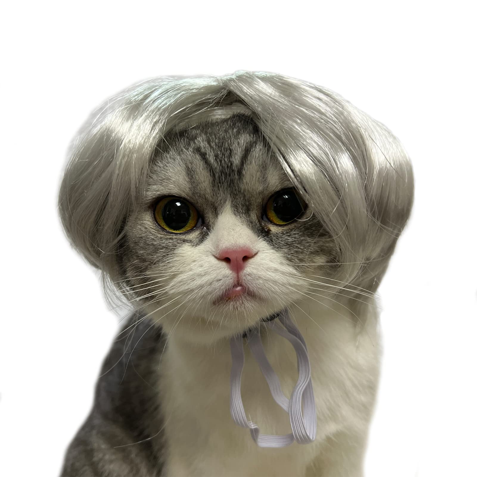 Funny Pet Wig, for Dogs, Cat Role Play Wig, Halloween, Christmas, Parties, Festivals, for Small, Medium and Large Dogs, Silver-White
