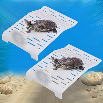 tortoise for fish tank