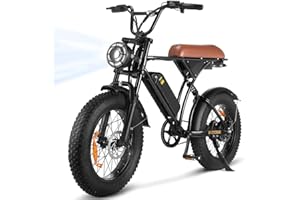 Flydone Off Road Electric Bike, 1500/1000W Peak Motor 20" Fat Tire Dirt Ebike for Adults, 32/45KMH Max 80/200KM PAS Range,Sin