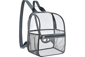 Mildbeer Small Clear Backpack, Stadium Approved 12x12x6 Clear Backpack for Women with 2 Bottle Holders for Festival Concert Travel Sport Games Venues