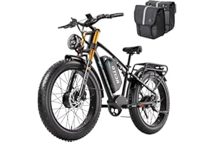 OTIDA Peak 6000W Dual Motor Electric Bike for Adults 42MPH with 52V 30Ah，Up to 100 Miles, 26"x4" Fat Tire Full Suspension Ebi