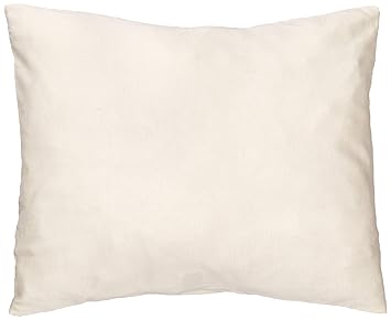 Amazon Com Sheetworld Comfy Travel Pillow Case 100 Soft