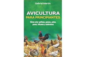 Avicultura para principiantes: Cómo criar gallinas, gansos, patos, pavos, faisanes y codornices (Avícola y vacunos) (Spanish Edition)