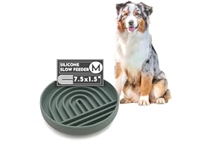 Should We Go? - The Slowdown Bowl - Silicone Slow Feeder for Dogs & Puppies, Slow Eating, Modern Lick Mat Design, Reduces Gulping, Dishwasher Fit, for All Breed, Mealtime Challenge, Medium-Spruce