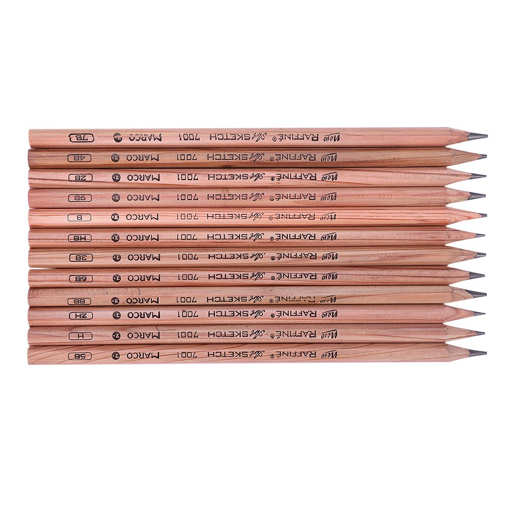 LONTG 12Pcs Graphite Pencil Set Sketch Pencils Drawing Pencils Artist Pencils 2H H HB B 2B 3B 4B 5B 6B 7B 8B 9B Pencil Hard Soft Pencils Pre-cut for Students Art Beginners Hobbyists