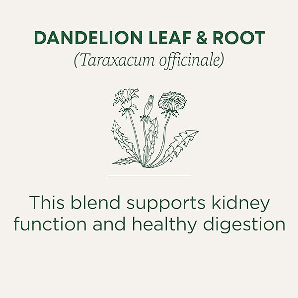 TRADITIONAL MEDICINALS ORGANIC, DANDELION LEAF & ROOT – DANDELION ROOT TEA, SUPPORTS NORMAL DETOX + DIGESTION – KOSHER, NON-GMO, CAFFEINE-FREE, COMPOSTABLE – 16 TEA BAGS