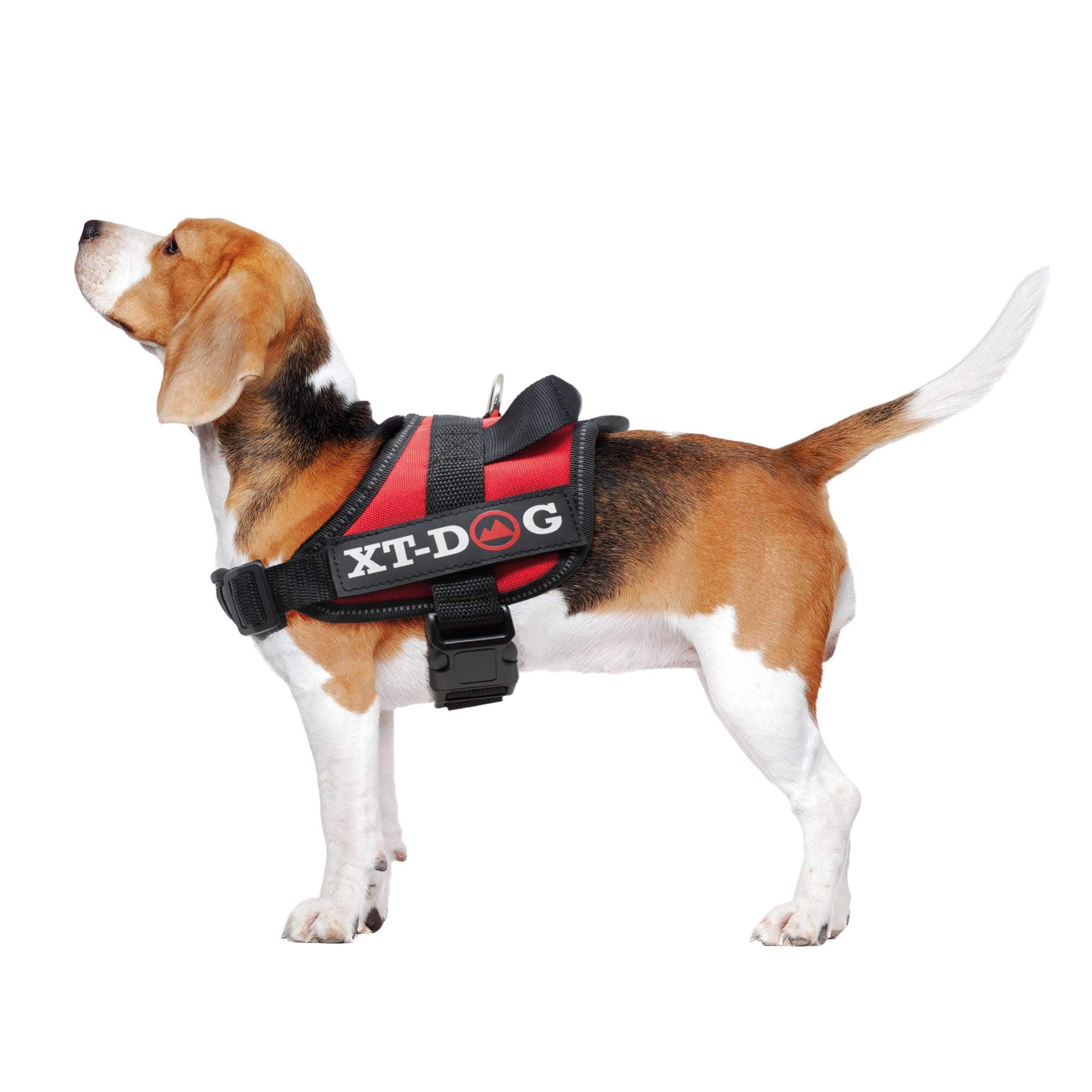XT-Dog Safety Harness Xxl Red