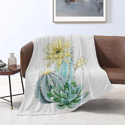 variegated swiss cheese plant Monstera adansonii albo