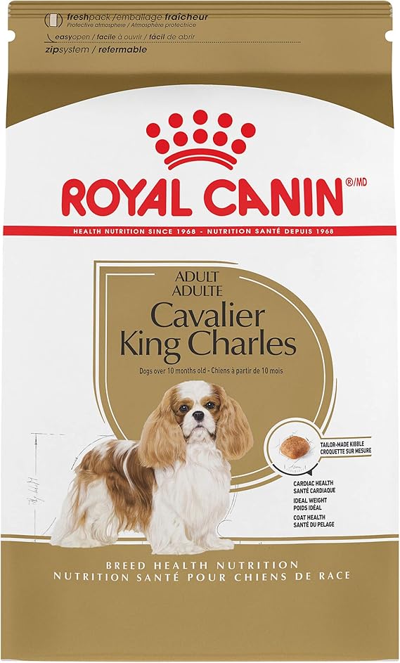 cavalier royal canin