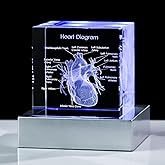 Movdyka 3D Human Heart Model Doctor Gifts for Men 3D Laser Etched Crystal Anatomical Heart Figurine Glass Paperweight Science Biology Medial Surgeon Gifts with Colorful LED Base