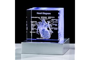 Movdyka 3D Human Heart Model Doctor Gifts for Men 3D Laser Etched Crystal Anatomical Heart Figurine Glass Paperweight Science Biology Medial Surgeon Gifts with Colorful LED Base