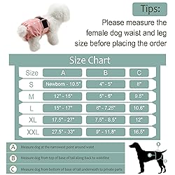 Female Dog Diapers - Premium Reusable Diapers for