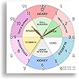 3dRose - Chinese Organ Clock - TCM Body Clock - Traditional Chinese Medicine - Wall Clock - (dpp-362982-1)
