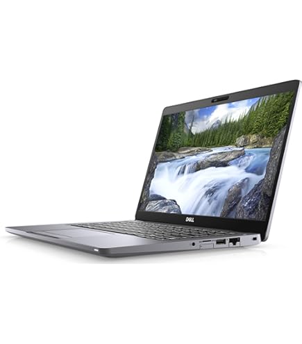 Amazon.com: Dell Latitude 5310 13.3