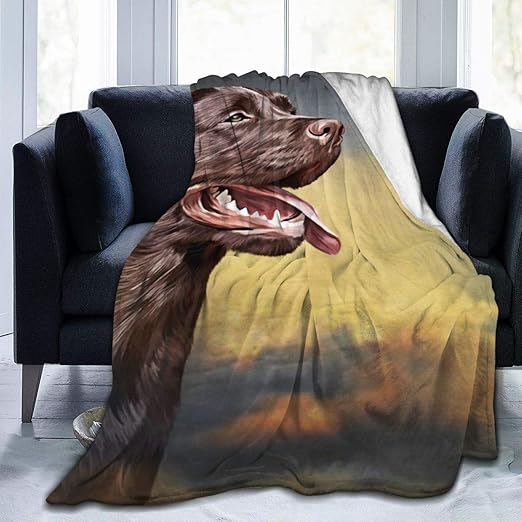 labrador sofa