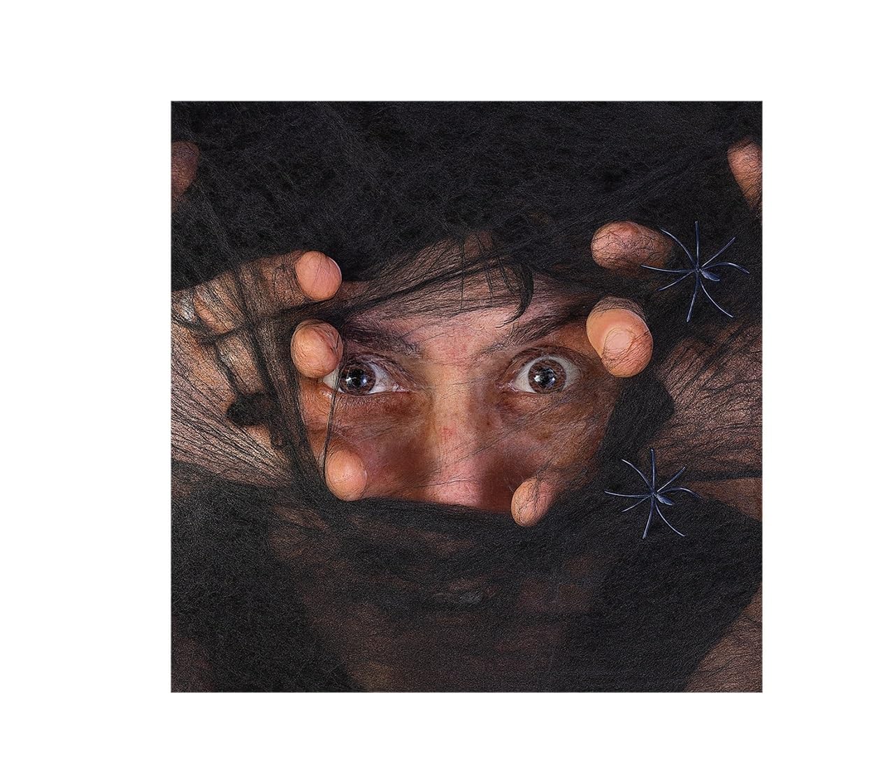 Komonee 5 x Spiderweb Halloween Stretchy Fake Spider Cob Web with Spiders Indoor Outdoor Garden Haunted House Party Decoration Black — image 1