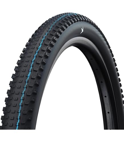 Amazon.com : Schwalbe - Racing Ray XC Race Tubeless Folding Front