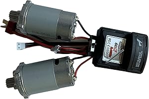 LAEGENDARY 1:10 Scale RC Cars Replacement Parts for Legend Truck: Motors Attached to ESC - Compatible with Legend Model with LED Lights