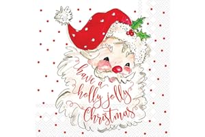 Boston International IHR 20-Count Cocktail Beverage Paper Napkins, 5 x 5-Inches, Holly Jolly