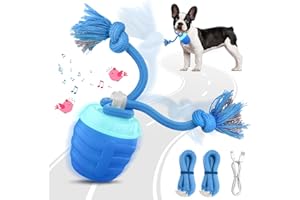 HVUATQ Interactive Dog Toys - 2025 Upgraded Motion Activated Balls for Medium/Large Dogs, Automatic Moving Dogs Toy Wicked Ball for Boredom, Interactive Dog Ball to Keep Them Busy(Blue)