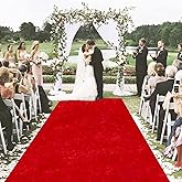 MODFUNS Red Carpet Runner for Parties 4x30ft Velvet Aisle Runner Wedding Runners Aisle Outdoor Event Carpet Runway Rug with Carpet Tape Farmhouse Aisle Floor Runners Ceremony Banquet Beach Rug