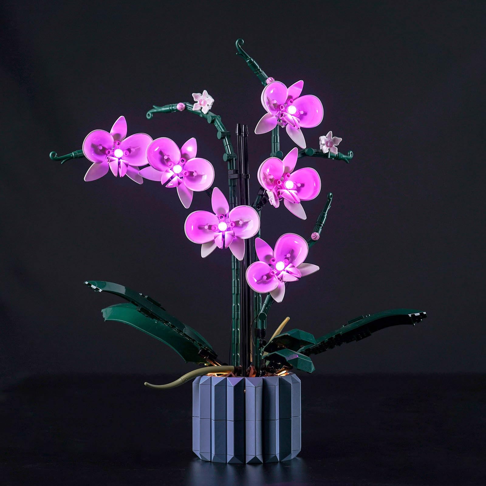 BrickBling Led Light Set for Lego Orchid (No Lego), Decoration Lighting Set for Lego 10311 Orchid Botanical Collection, UK2-10311-P49601 — image 1