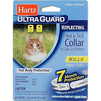 reflective flea collar cats