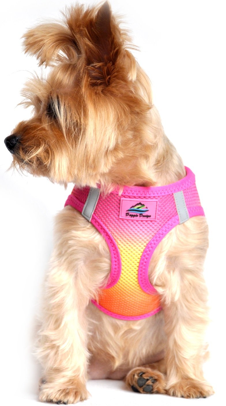 Ultra Choke Free Step in Reflective Dog Harness American River Ombre Raspberry Pink Orange (XL)