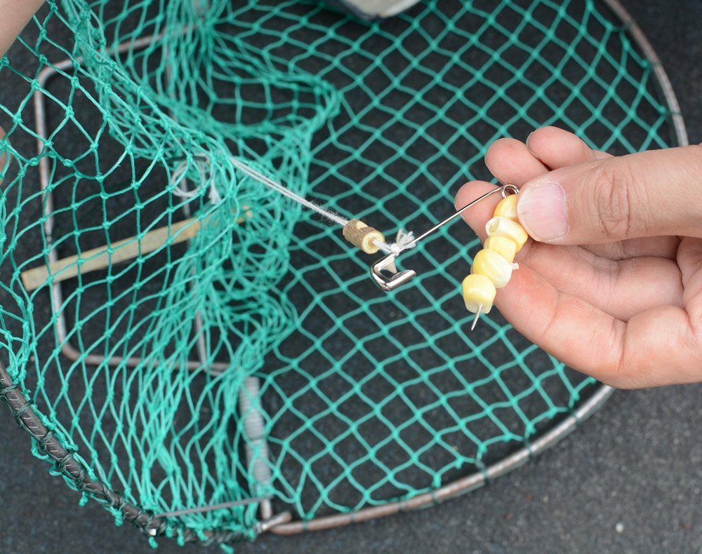 Alemon 12“ Bird, Pigeon, Quail Humane Live Trap Hunting Bird Trap, with