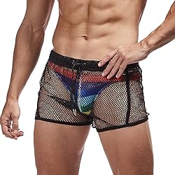 FIROTTII Mens Mesh Shorts Sexy Boxers See Through