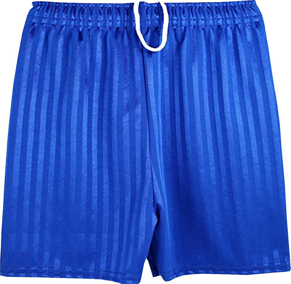 ND Sports School Shadow Stripe PE Shorts for 1516 Years, Royal Blue