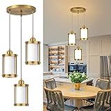 Osimir 3-Light Pendant Lighting, Brushed Gold