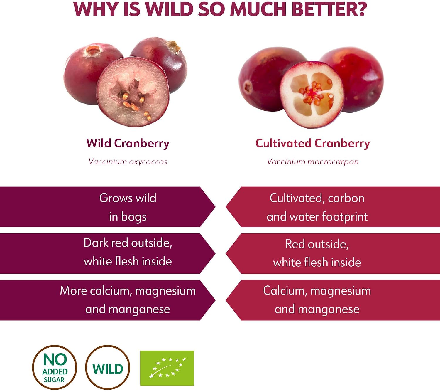 LOOV Organic Cranberry Fibre Powder (Pomace), Made from Pure Wild Nordic Cranberry Seeds and Skins - Image 5