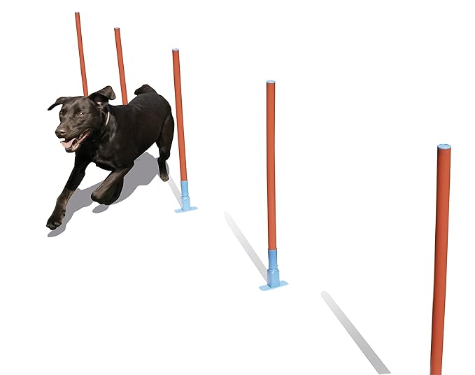 Rosewood 02490 Agility-Slalomstangen für Hunde