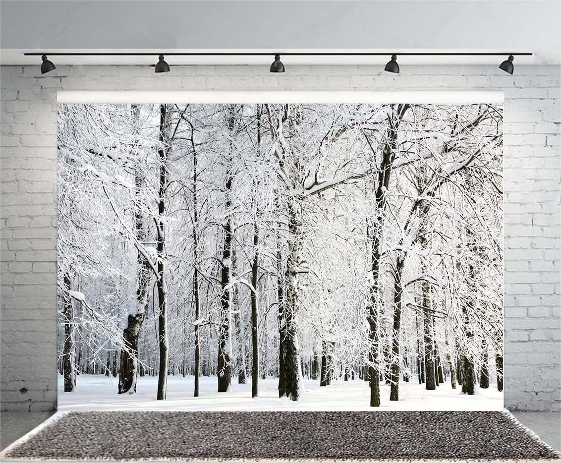 Haosphoto 7X5FT/210X150cm Vinyl Photography Backdrop Christmas Forest Trees Snow Covered Landscape Rustic Winter Xmas Backdrops Kid Adult Happy Year Background Photo Studio Props CA855