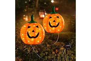 DAYLIGHTIR Solar Halloween Pumpkin LED Lights, Set of 2 Big Pumpkin Stake Lights 2 Modes for Outdoor Halloween Pathway Yard Garden Decoration (Warm White-Pumpkin, 2 Pack)