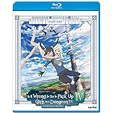 IS IT WRONG TO TRY TO PICK UP GIRLS IN A DUNGEON