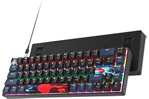 Ussixchare 60 Percent Gaming Keyboard 68 Keys Mechanical Keyboard Rainbow Backlit Compact Wired Keyboard with Red Switch for 