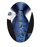 Hi-Tie Royal Blue Paisely Ties Sets for Men Silk