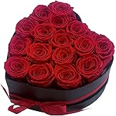Dopluia Preserved Roses Valentines Day Gifts for Her Birthday and Mothers Day Forever Flowers Heart Shape Box (Red-16 Roses)