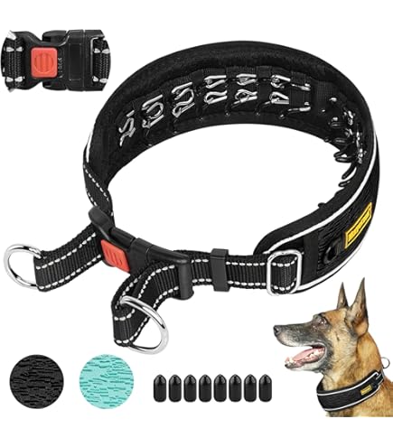 Rechargeable Dog Training Collars Iron Chock Metal Link Single Row Neck Leash Training Dog Pet Co Dog Chain Collar