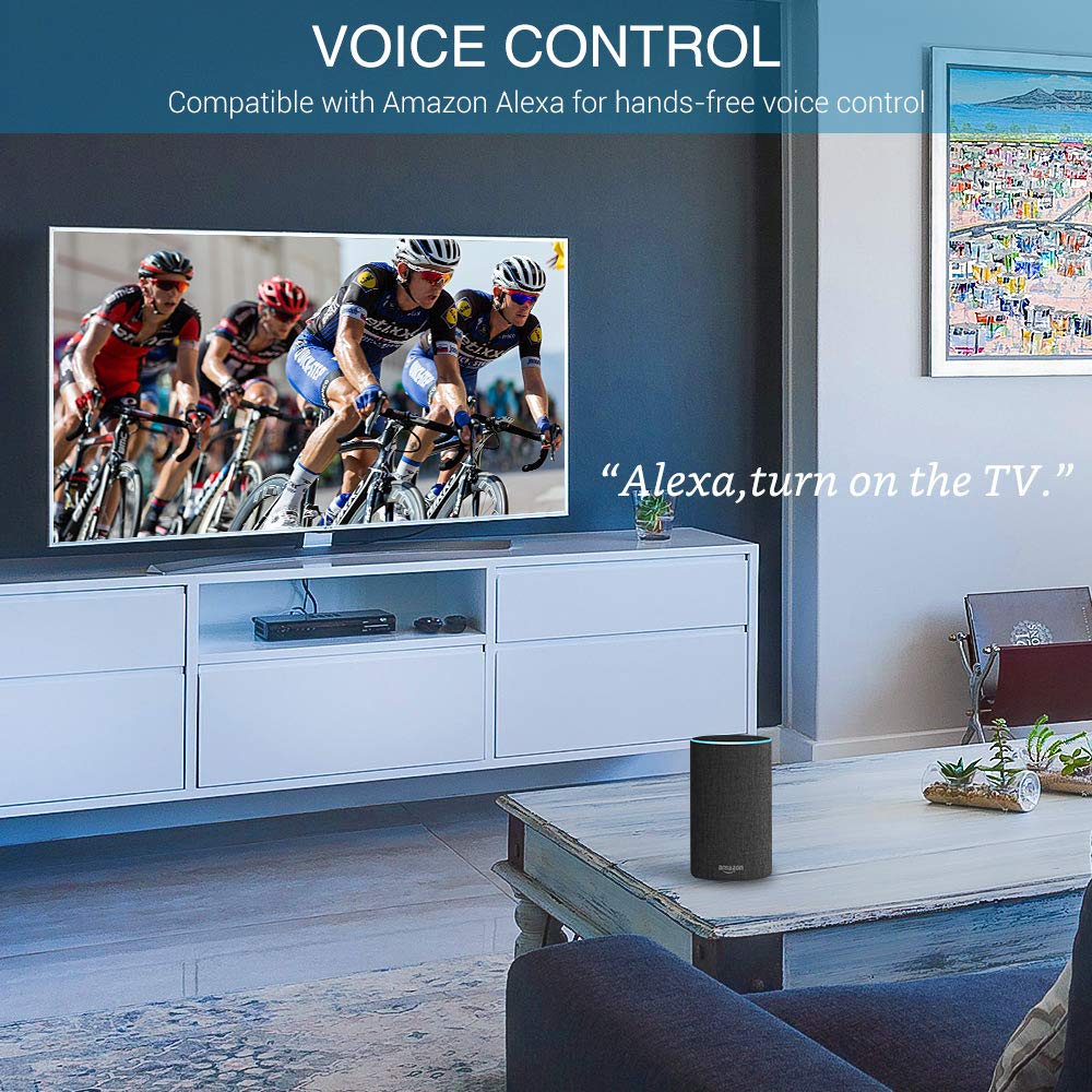 Linkind WiFi Smart Plug, No Hub Required, Compact Wi-Fi Outlet, Compatible with Amazon Alexa for Voice Control, APP Remote Control, FCC Certified, Pack of 2