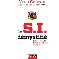 Le S.I. démystifié - 2e éd. : Neuf scènes de la vie quotidienne d'un DSI (Hors Collection) (French Edition) book cover