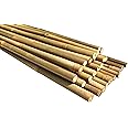 Dlh Western Natural Poles, Plant Support Garden Stakes 2ft Long (25-Count), Dlh Western